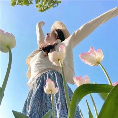 超级苍蝇续集